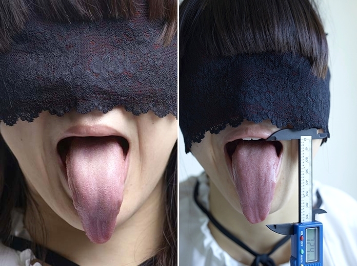 舌モデルの超絶長舌 (1)